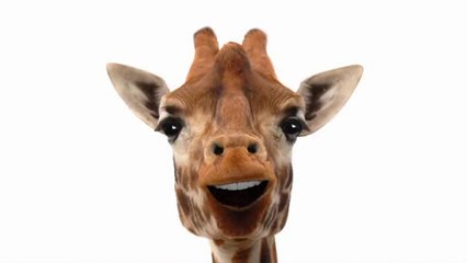 Bonjour Madame la Lune