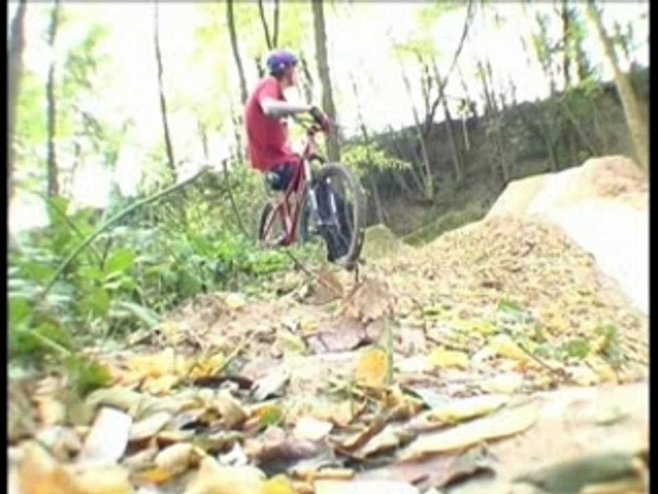 Lucas Part Try l