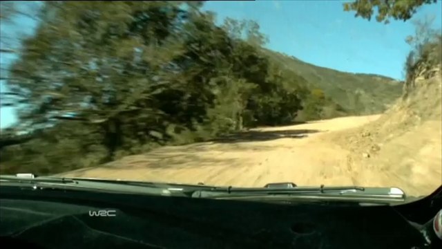 Hirvonen prawie zderzył się z... krową!