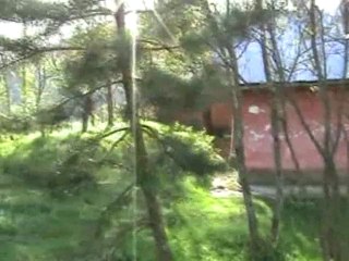 ahmet'A'nın oğlan torunu