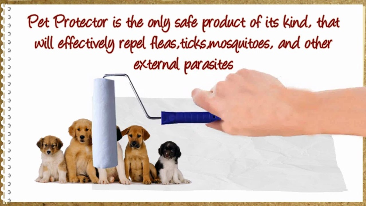 Pet Protector video Review.....Saving The Lifes Of Our Best Friends