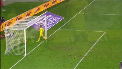 But Sigamary DIARRA (90ème +2) - FC Nantes - AC Ajaccio - (2-2) - 08/03/14 - (FCN-ACA)