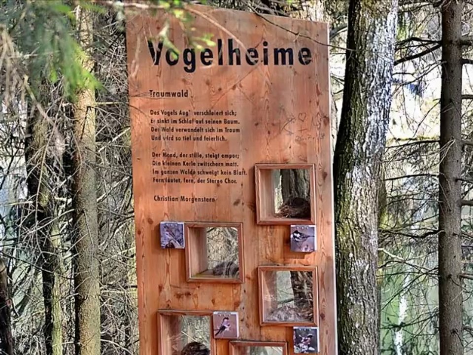 Wanderung am See bei Eging