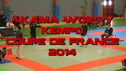 Coupe de France KEMPO 2014 -  final séniors -75kg