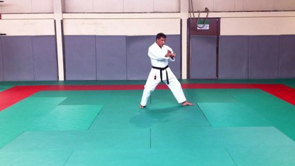 Heian Godan : Concentré de Self-Défense