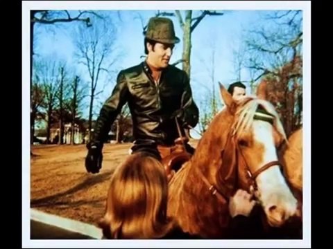 Elvis Heart Of Rome ( funny version)