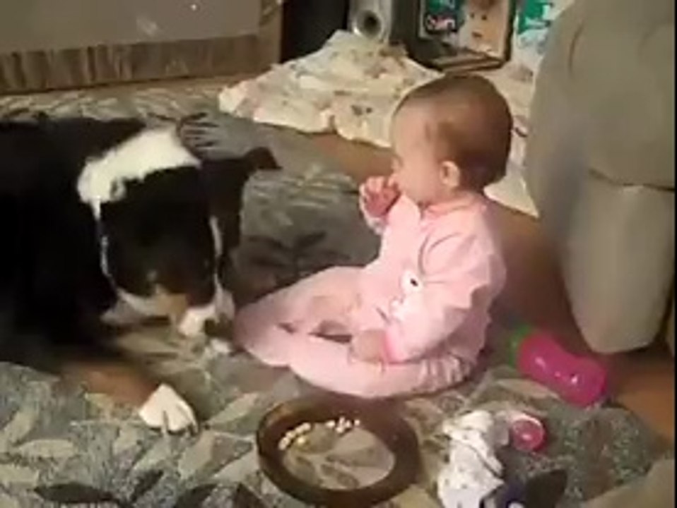 Funny Video