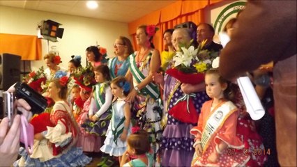 Elección de Andaluzas-2014