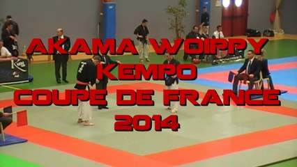 coupe de France KEMPO 2014 . tournoi seniors -75kg