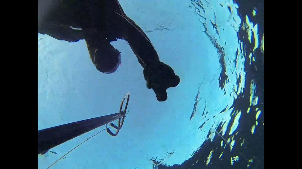 Chasse sous marine du 09 mars 2014 à Hyères