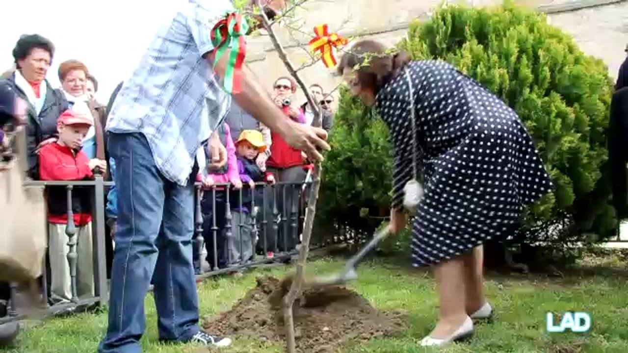 Fiesta del Almendro en La Fregeneda 2014
