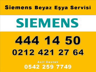 siemens şervişi (17)