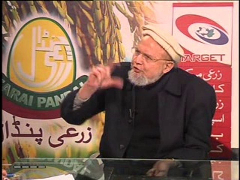 Zari Pandal with Saghir Ramay 22 February 2014 Part 02