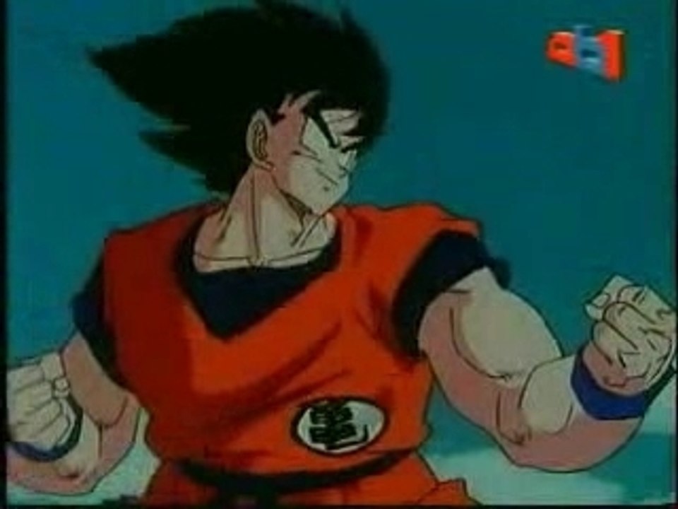 Combat Sangoku Vs Végéta