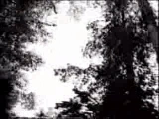 1966 Pontiac GTO Commercial