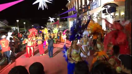 Carnaval Guadeloupe 2014