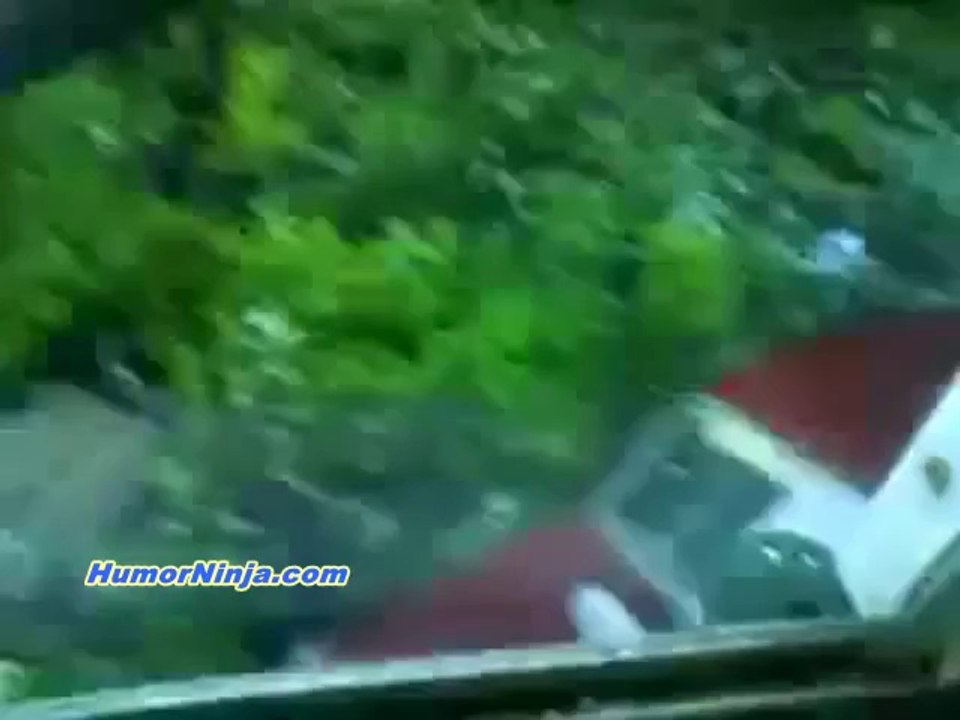 lol train