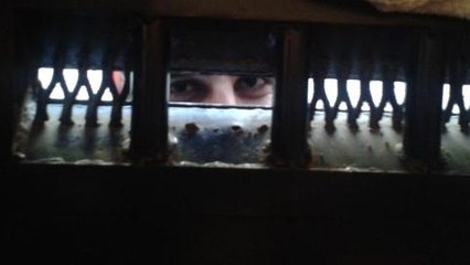 Egyptian prisoners decry conditions