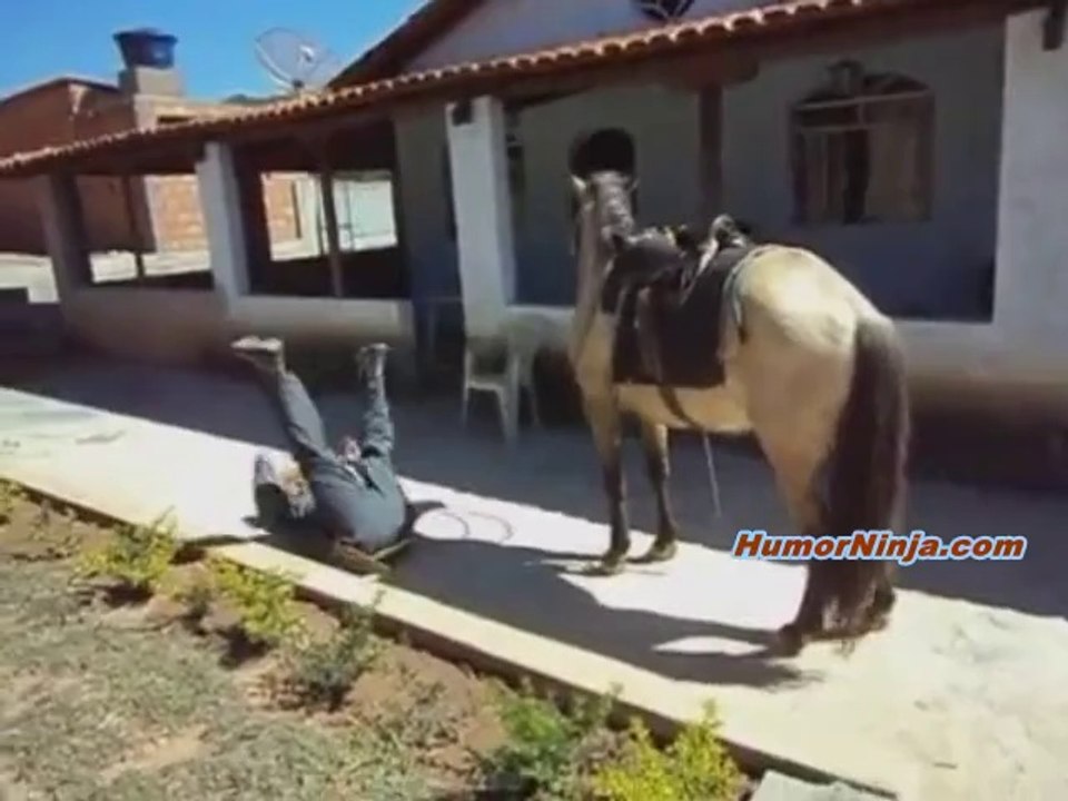 outro babedo e seu cavalo
