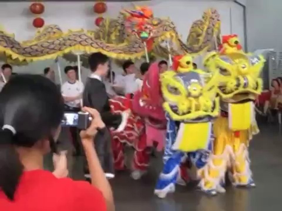 Dragon And Lion Dance 2014