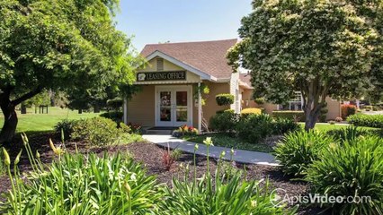 Vineyard Terrace Apartments in Napa, CA - ForRent.com