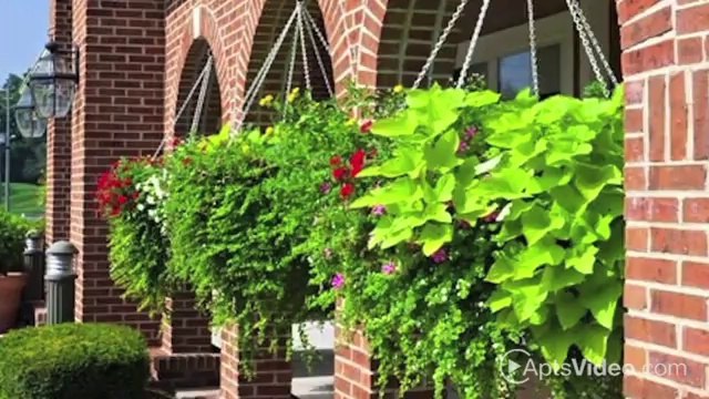 Castle Creek Apartments in Indianapolis, IN - ForRent.com