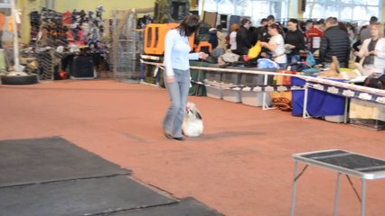 Донецк март 2014 070