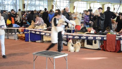 Донецк март 2014 075