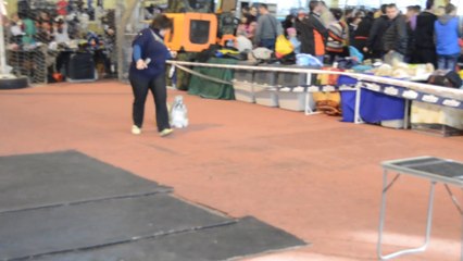 Донецк март 2014 077