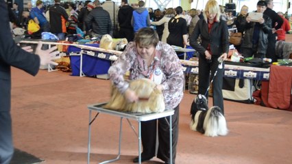 Донецк март 2014 078