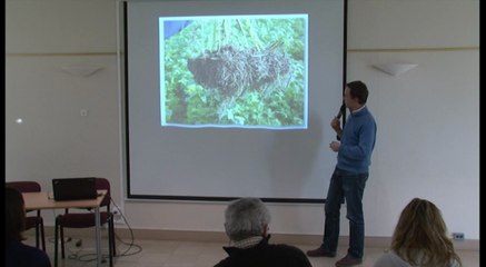 L'agriculture de conservation par Matthieu Archambeaud (1ère partie)