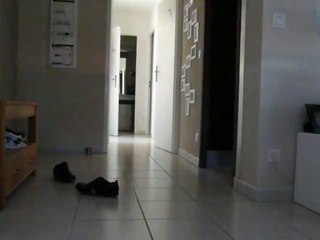 Leeloo va chercher la balle !