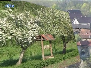 Selo moje, 09. mart 2014.