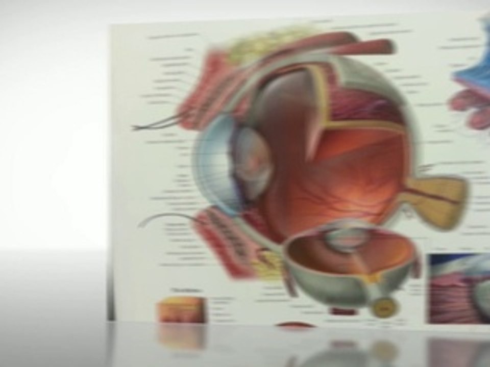 Get best optometrist& eye clinic Highlands Ranch CO