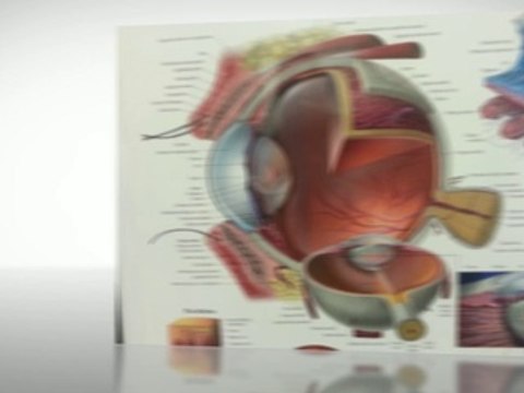 Get best optometrist& eye clinic Highlands Ranch CO