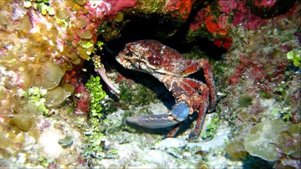 Columbus Island, Bahamas, Feb. 2014