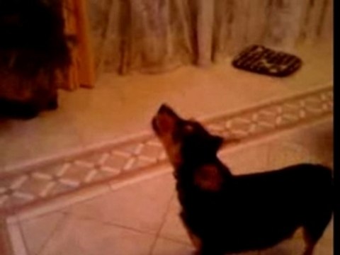 Buffy vs Les feux de lamour