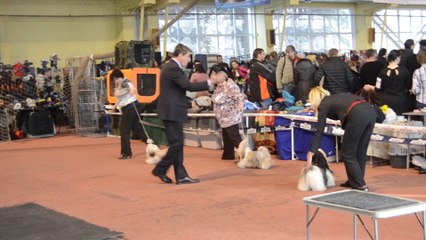 Донецк март 2014 086