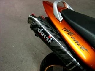 Hornet 600 DEVIL trophy