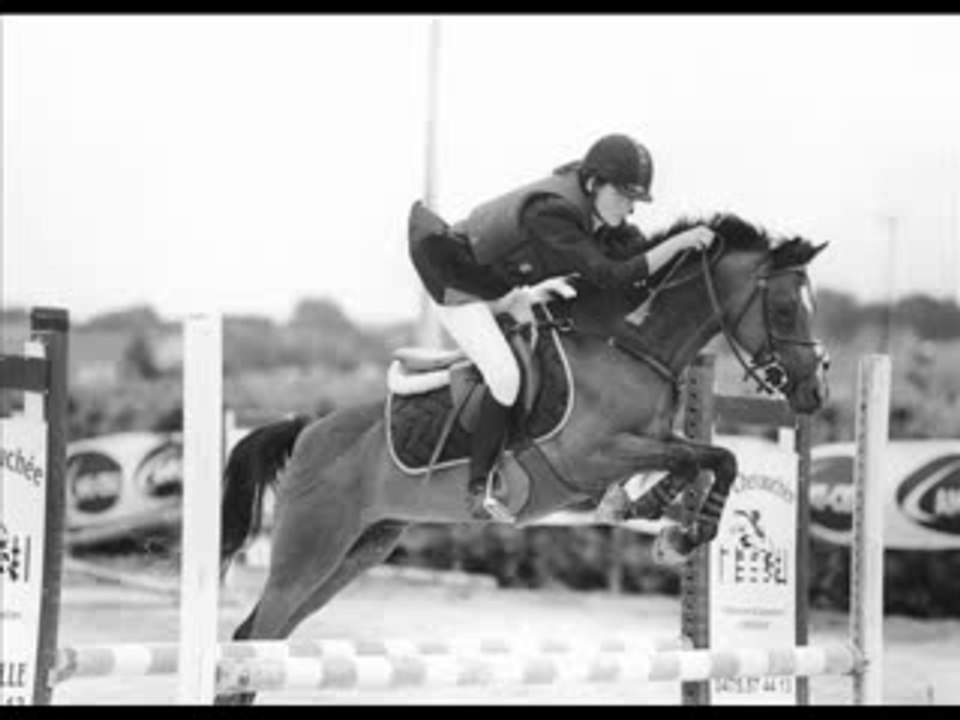 Mon pOney aux Pépites d'Or