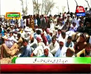 Camels fight in  Ahmedpur Sharqia