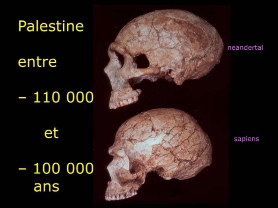 Les humains : une longue histoire, puis un retour à la nuit des temps ? (cycle Évolution animale et humaine 3/3)