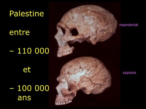 Les humains : une longue histoire, puis un retour à la nuit des temps ? (cycle Évolution animale et humaine 3/3)