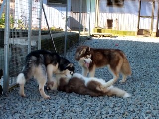 sisters and mother playing :)