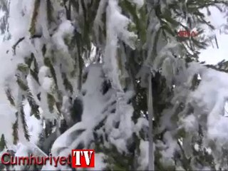 Kartepe'de kar yağışı başladı