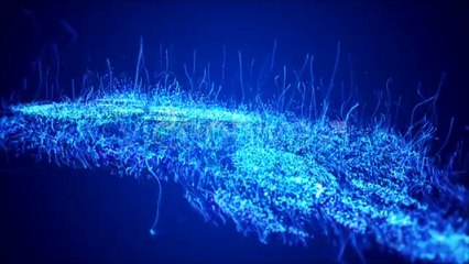 Evolution Lines Logo