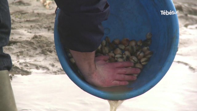 Lorient. SOS Petite mer de Gâvres : la dissolution est prononcée
