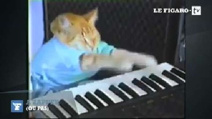 A Zapper (ou pas) : "Top Chef" va se prendre une "leçon de piano" par Arte