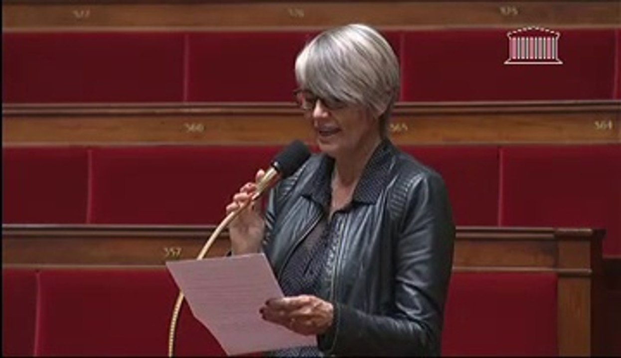 Véronique Massonneau interroge la ministre Sylvia Pinel sur le FISAC