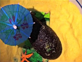 Stage la vie secrete des aliments (fev 2014)